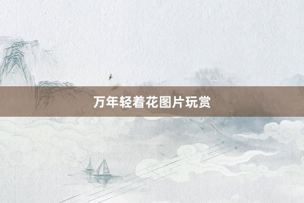 万年轻着花图片玩赏